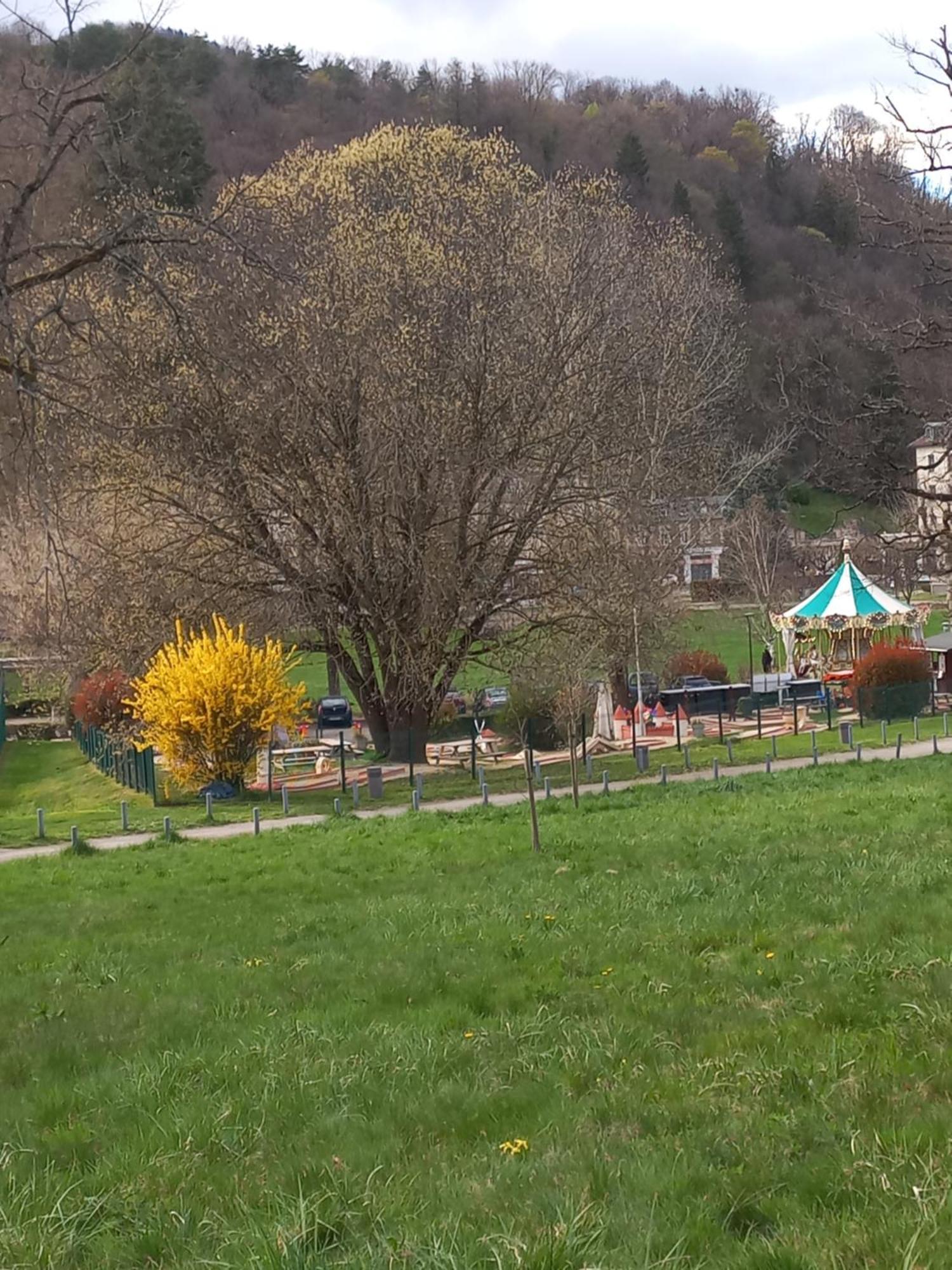 Residence Du Parc Saint-Martin-d'Uriage ภายนอก รูปภาพ